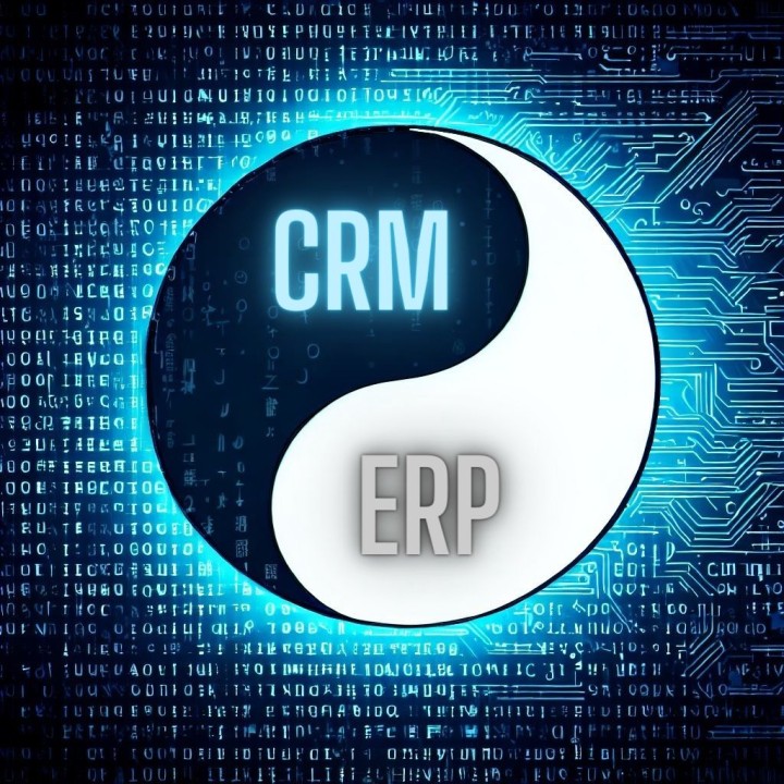 Unlocking Operational Excellence: The Synergy of Data Analytics in CRM and ERP Systems