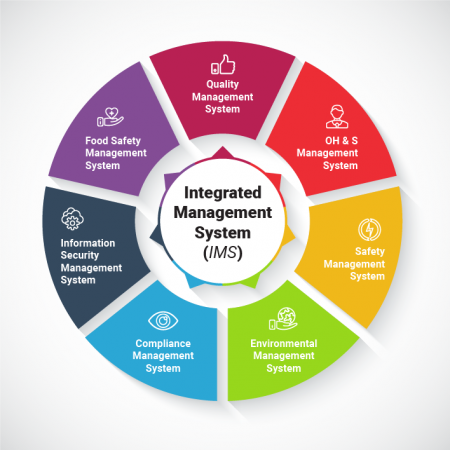 Integrated Management Systems: Creating Cohesive Business Environments