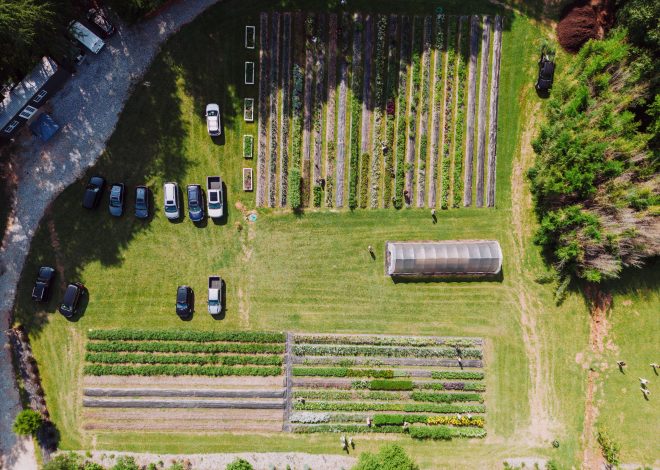 Gardening Software: Garden Management and Planning