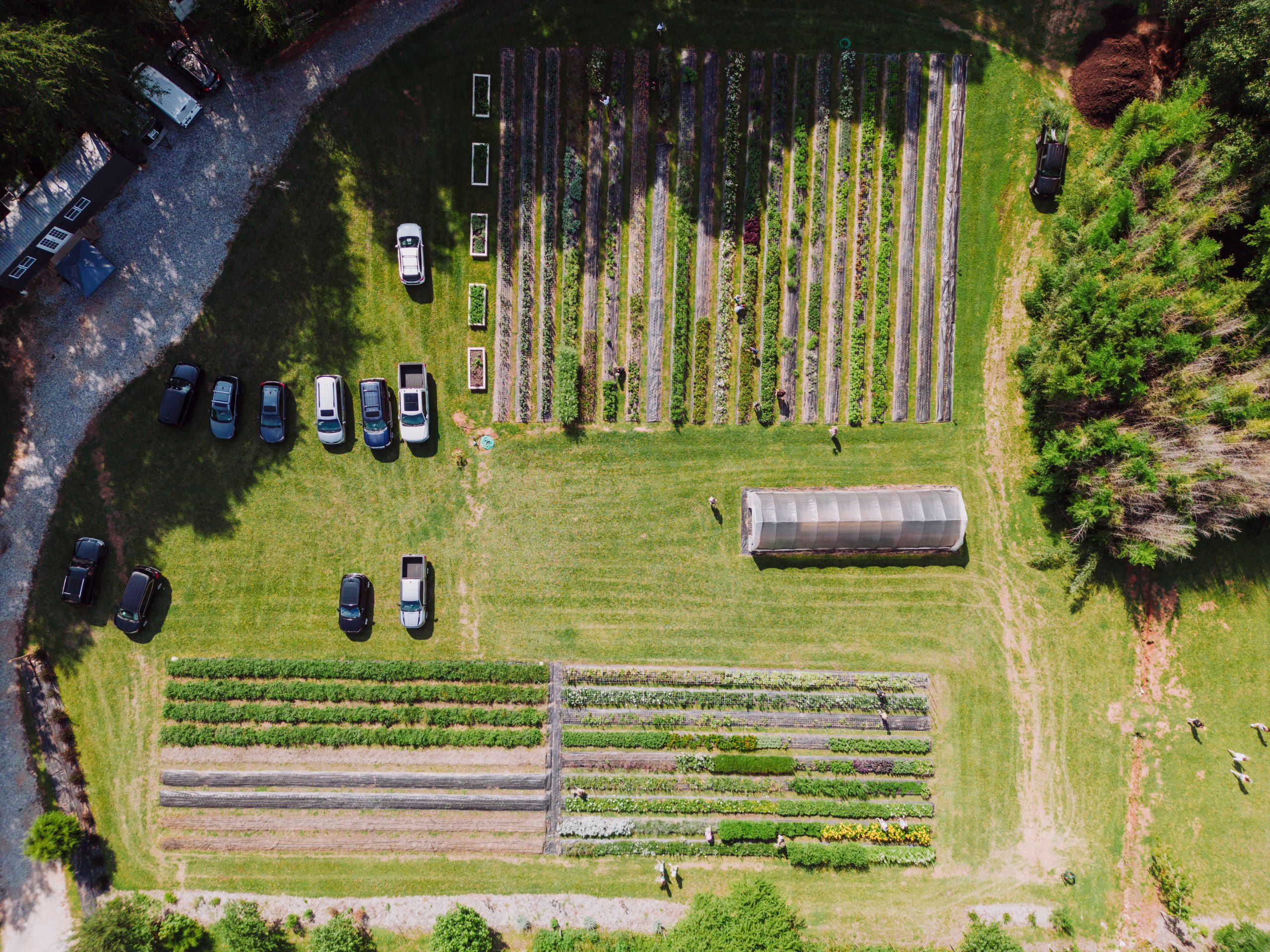 Gardening Software: Garden Management and Planning