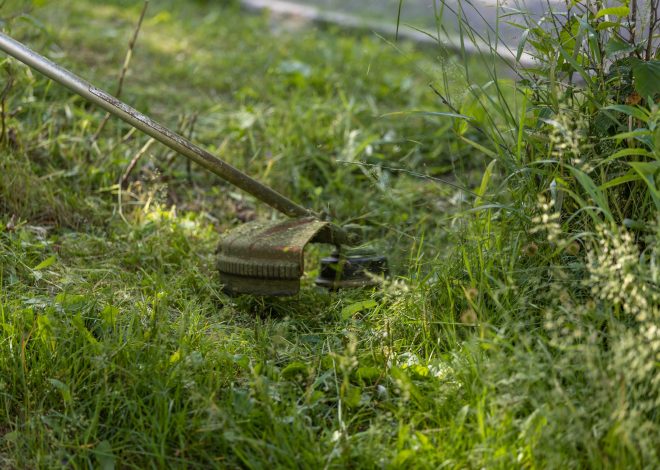 Transforming Lawn Care with Software for Lawn Care Businesses