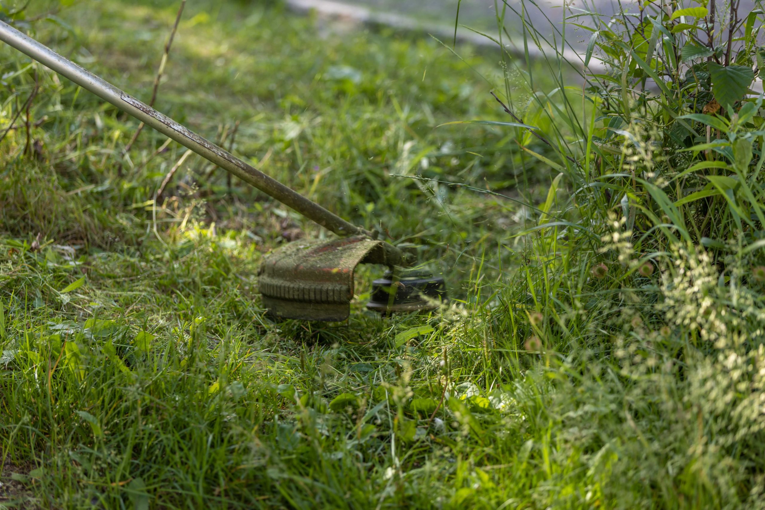 Transforming Lawn Care with Software for Lawn Care Businesses