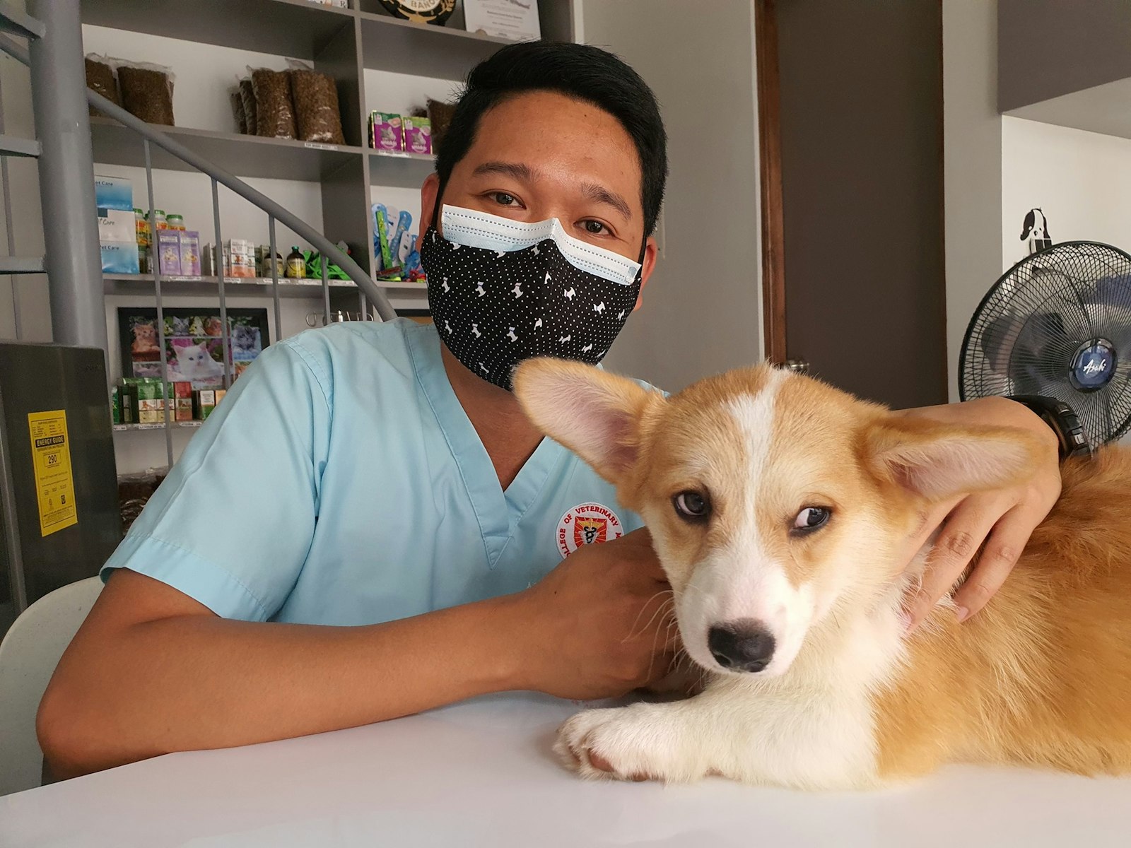 Cloud Based Veterinary Practice Management Software: 9 Features Every Modern Clinic Needs