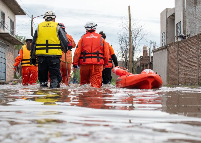 Disaster Management System: 9 Features That Improve Emergency Response and Recovery