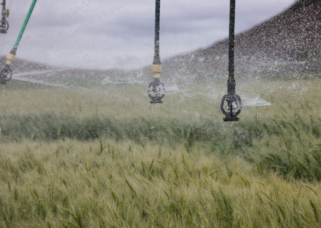 9 Sprinkler Design Software Features That Improve Fire Protection Design