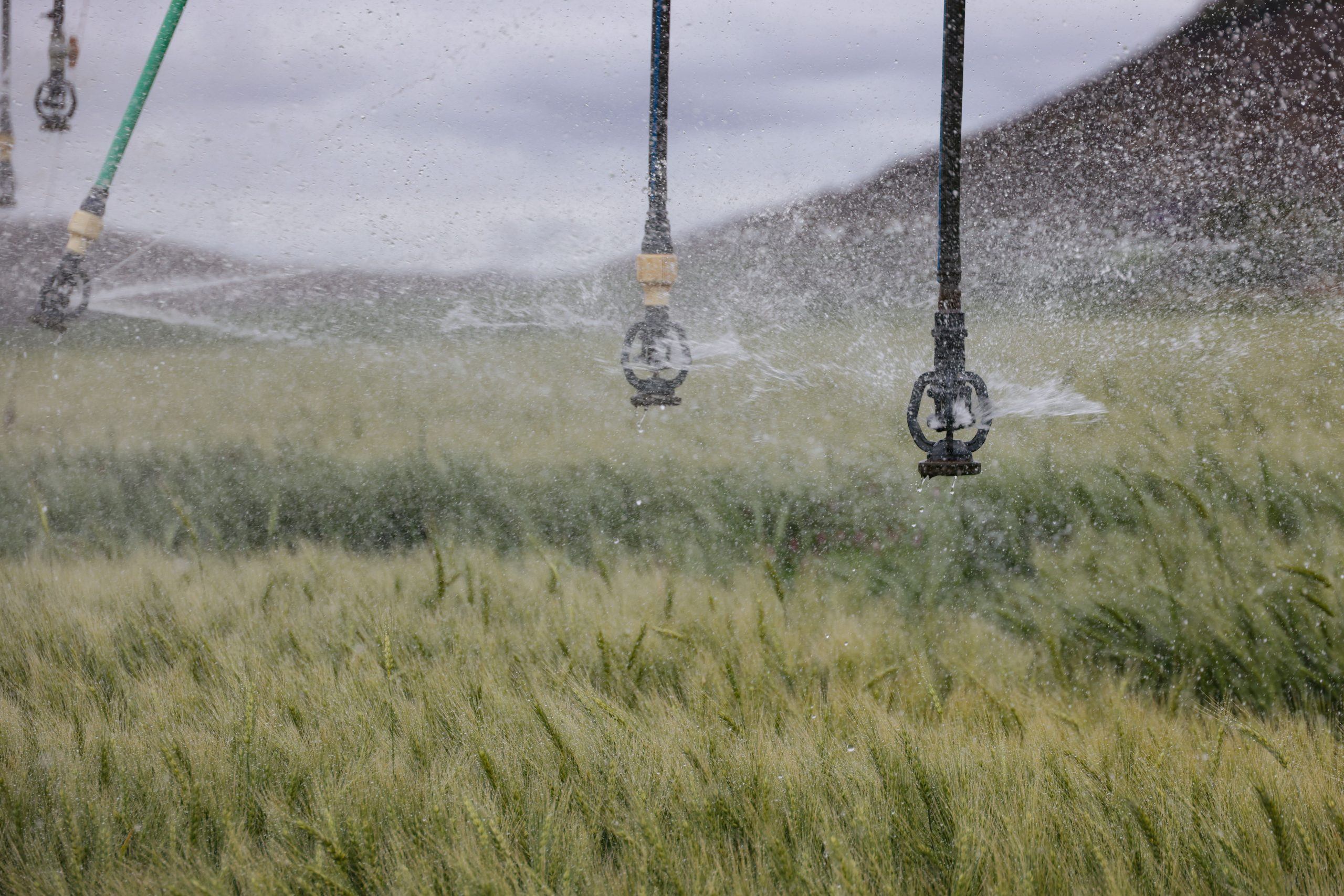9 Sprinkler Design Software Features That Improve Fire Protection Design