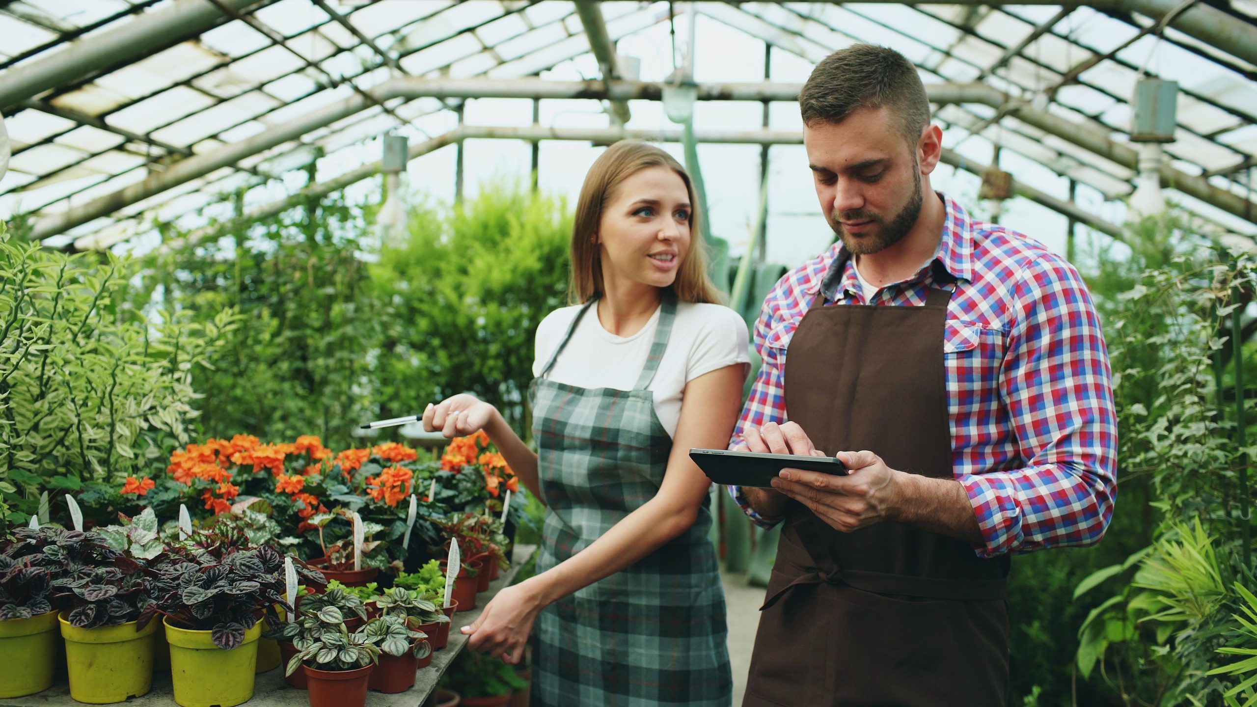 Software for Landscaping Companies: 9 Features That Simplify Jobs, Crews, and Growth