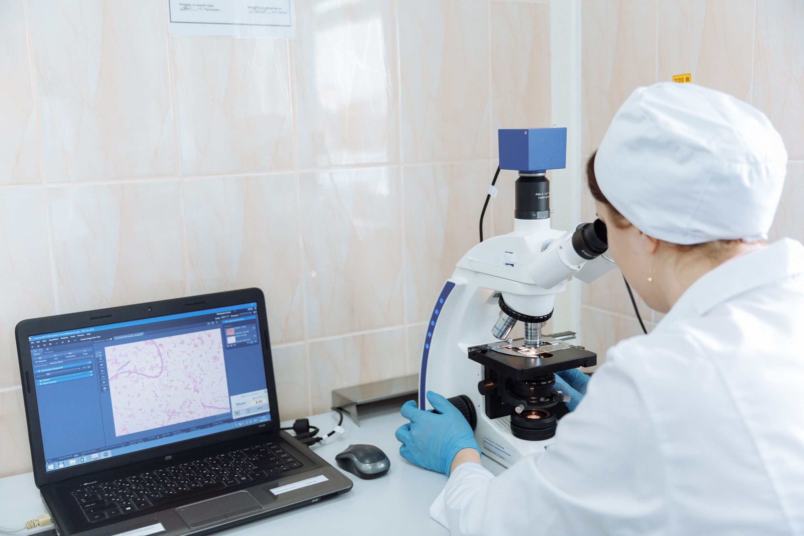 Mold Inspection Software: 9 Features That Simplify Inspections and Remediation