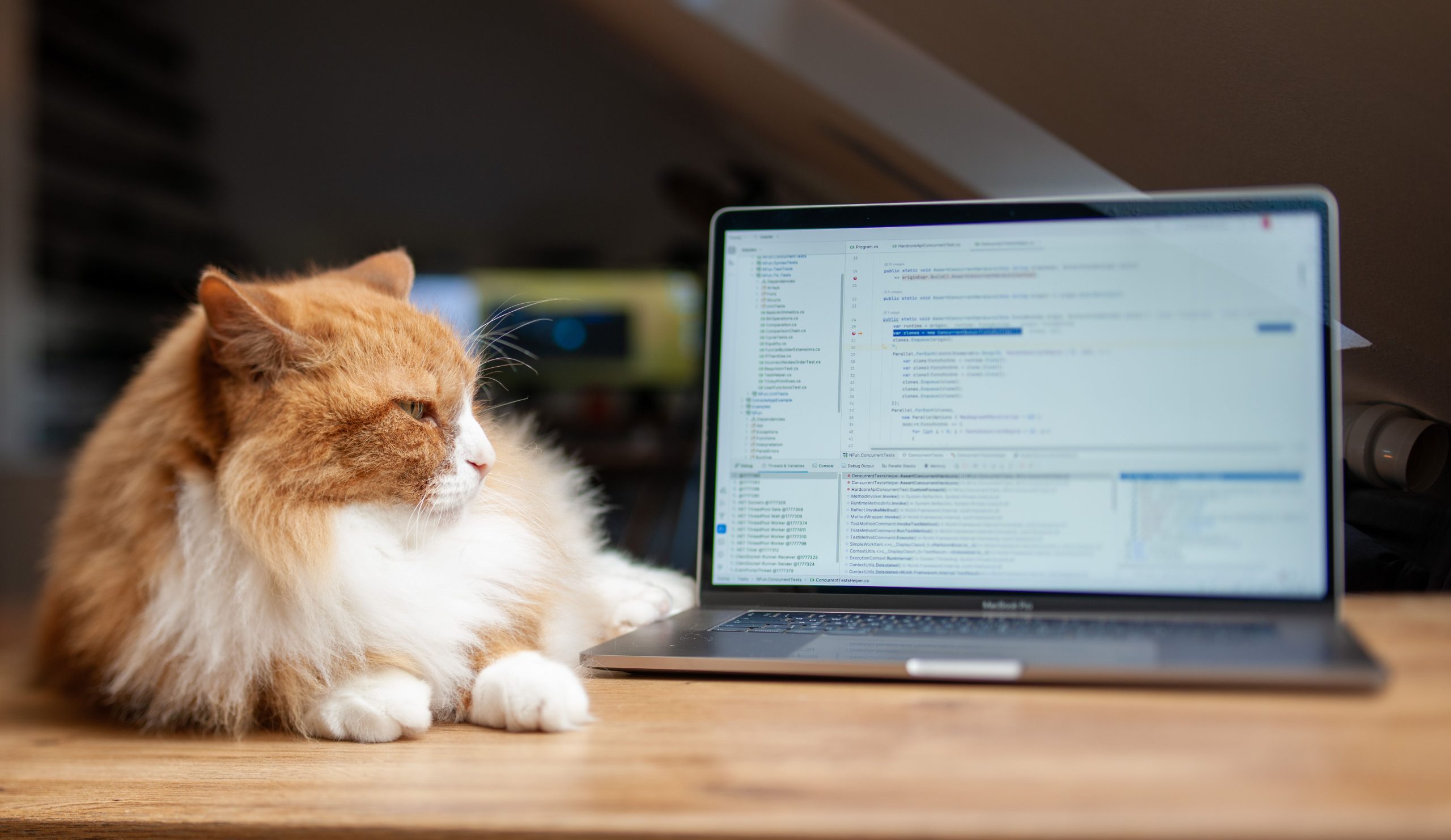 9 Animal Boarding Software Features That Simplify Bookings, Pet Care, and Daily Operations