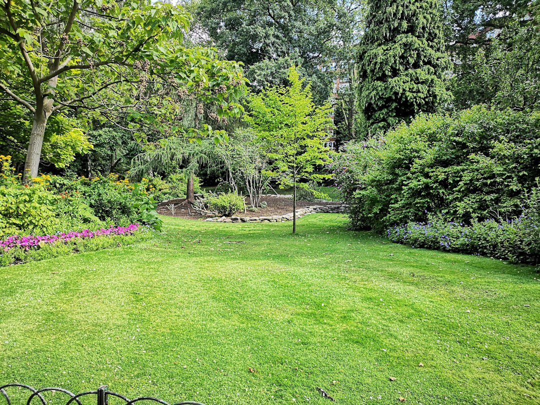 Yard Management System: 10 Features for Gates, Trailers, Docks, and Yard Moves