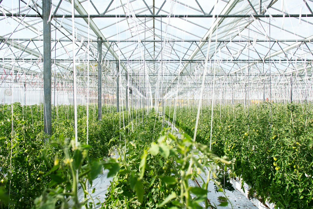 Greenhouse Management Software: Connect Crop Plans, Stock, Orders, and Controls