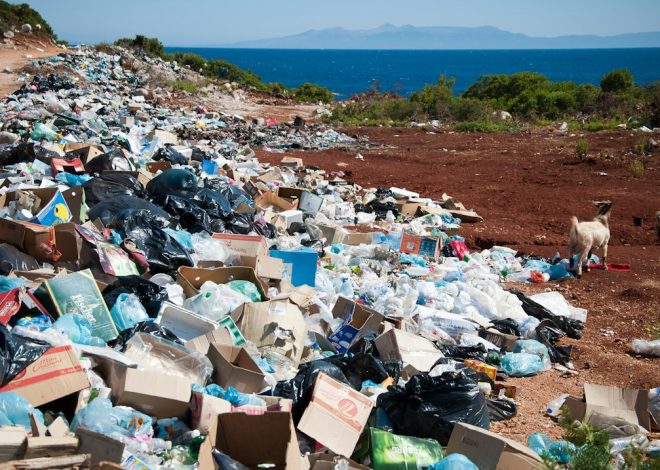 Waste management software: 8 Features, Real-World Examples, and Buying Checks