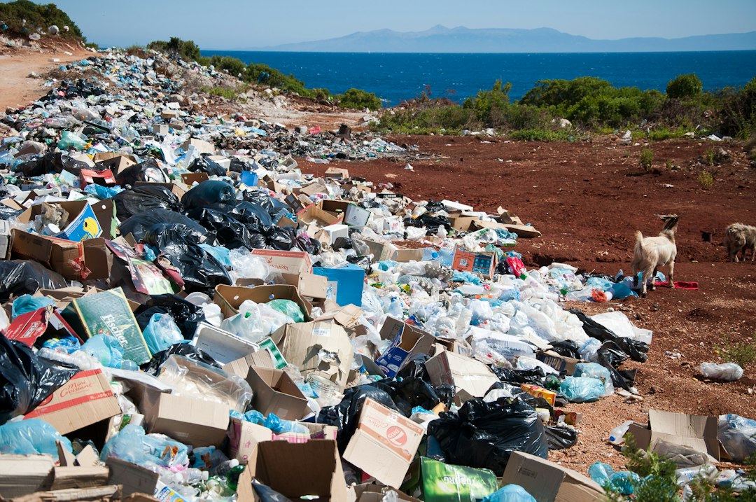 Waste management software: 8 Features, Real-World Examples, and Buying Checks