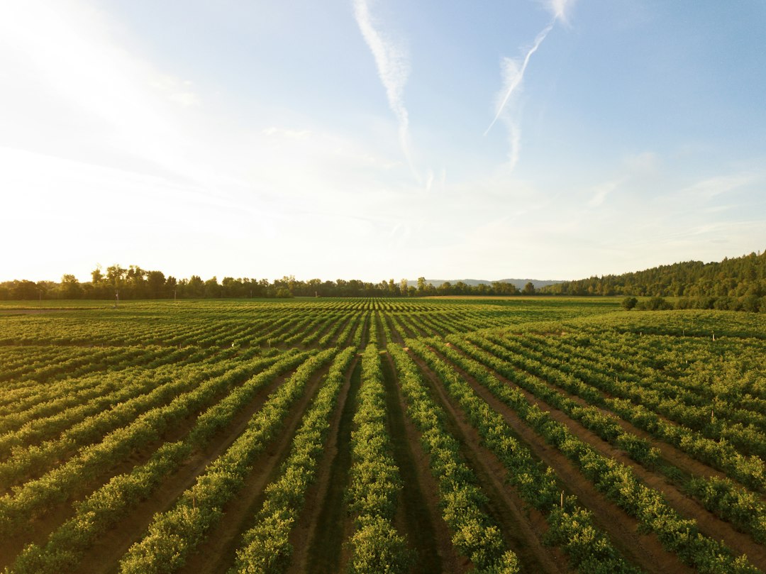 Precision agriculture software: 8 Essential Features and Implementation Checks