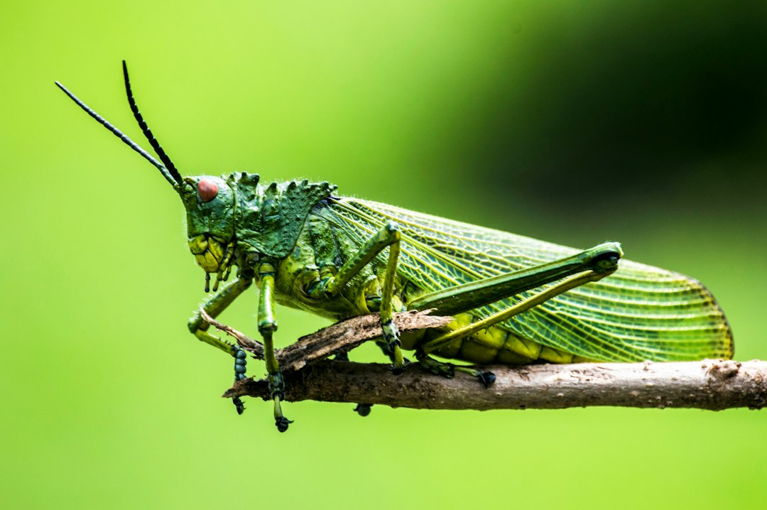 Bug Tracking: 9 Features and a Practical Defect Workflow