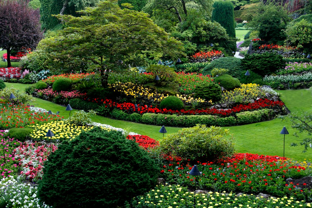 Professional Landscape Design Software: From Site Survey to Coordinated Plans