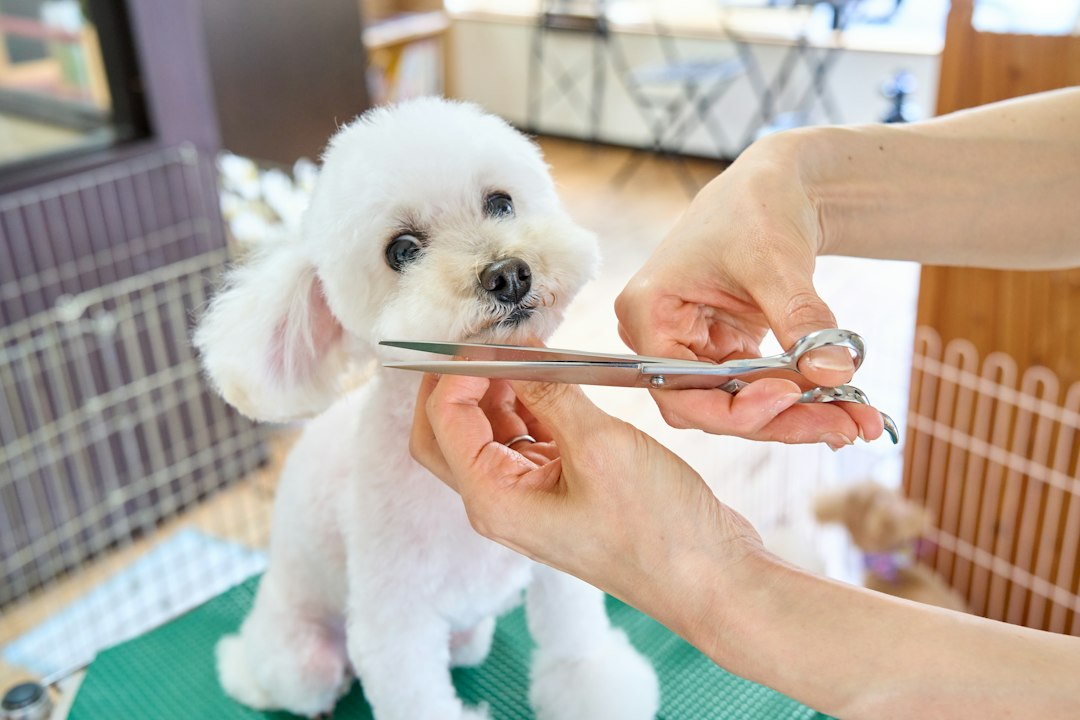 pet grooming scheduling software: 8 Workflows to Test Before You Choose