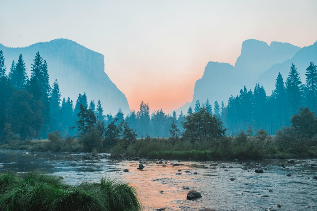 Landscape management software: Keep Recurring Visits and Job Margins in Step