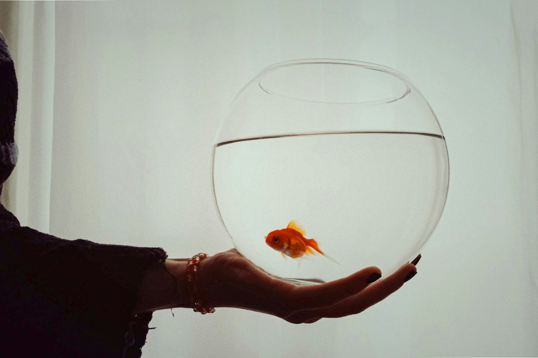 Fishbowl software: 10 Checks for Inventory, Production, and Accounting Fit