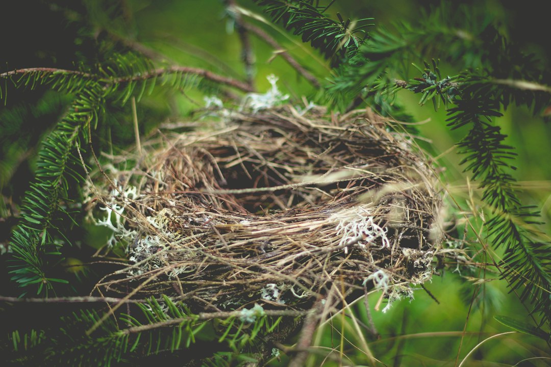 Nesting Programs: A Practical Guide to Material Yield and Shop Fit