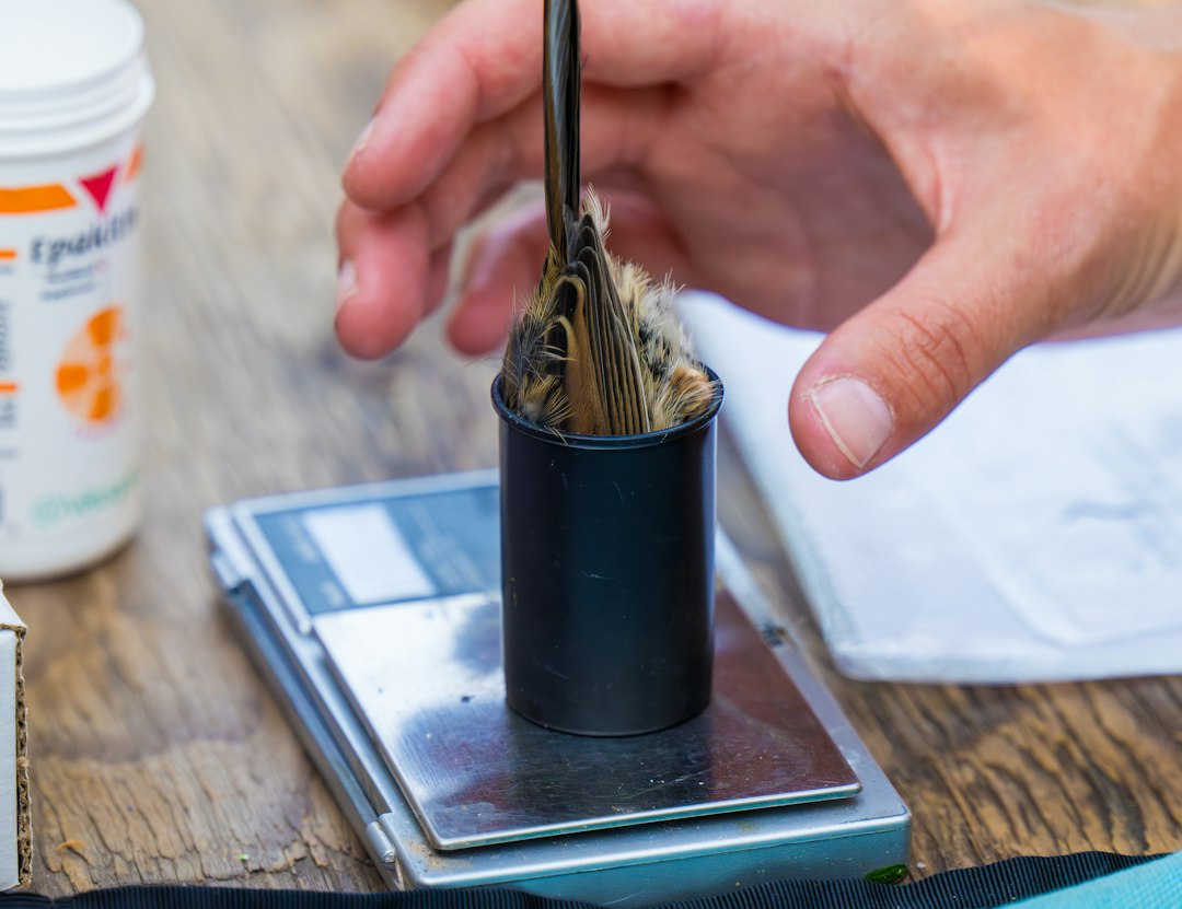 Field Data Collection Software: 9 Tests for Reliable Work Away From the Office