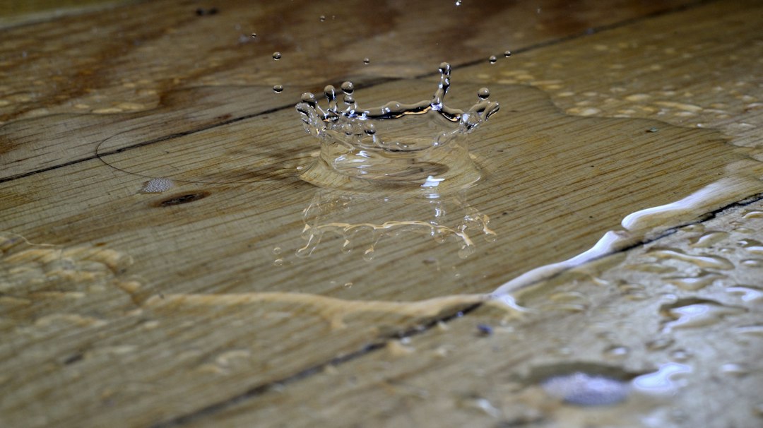 Water Damage Restoration Software: 9 Features That Keep Restoration Jobs on Track