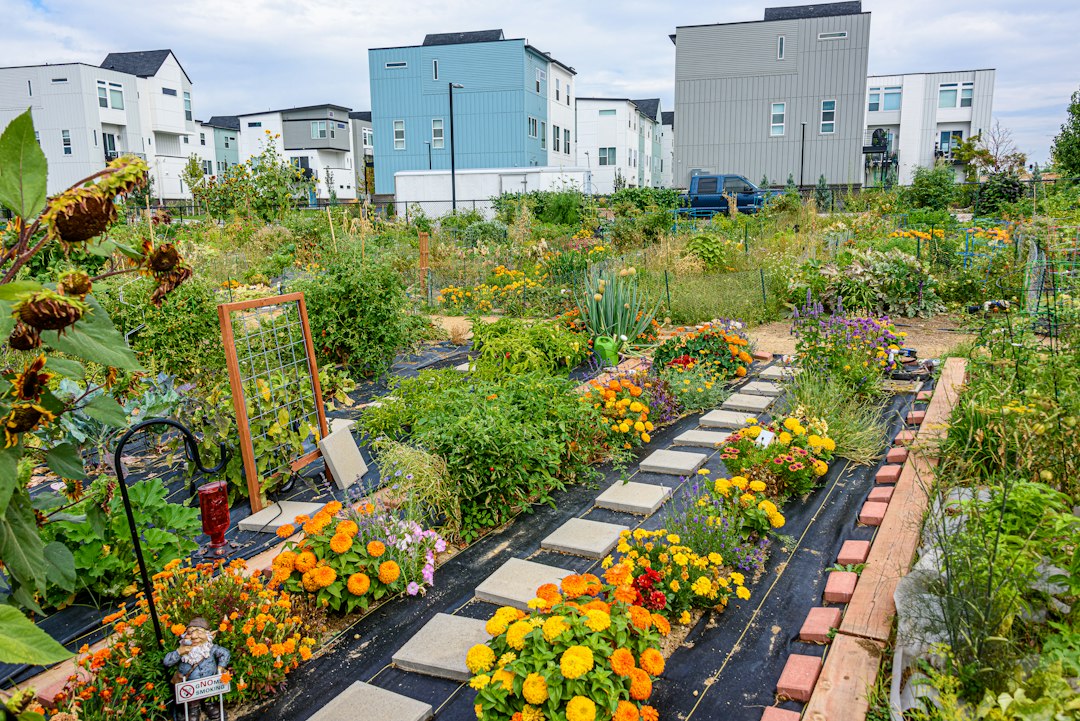 Community Garden Management Software: 9 Checks for Plots, People, and Seasons