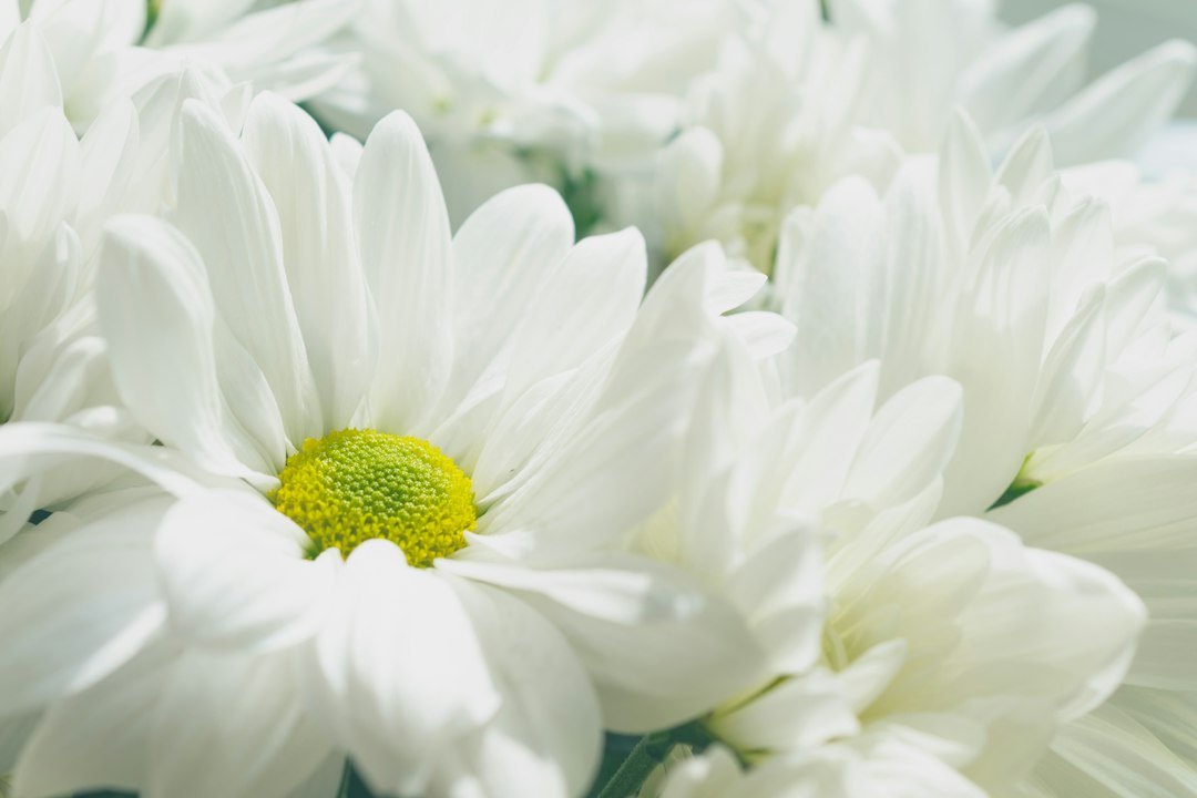Funeral home software: Keep Case Details, Family Requests, and Service Tasks Connected