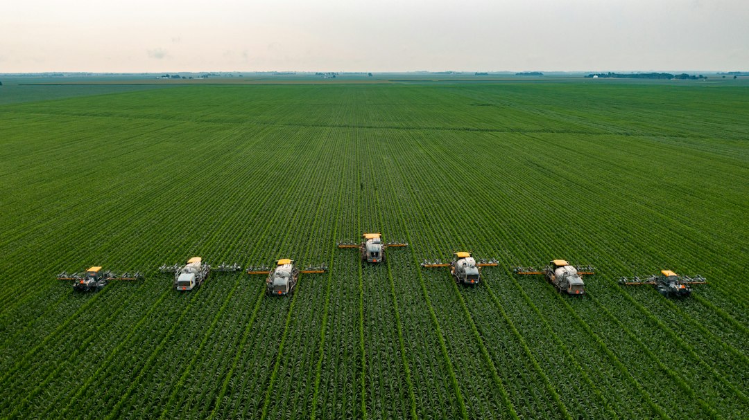 Crop Scouting Software: 10 Checks for Useful Field-to-Grower Reports