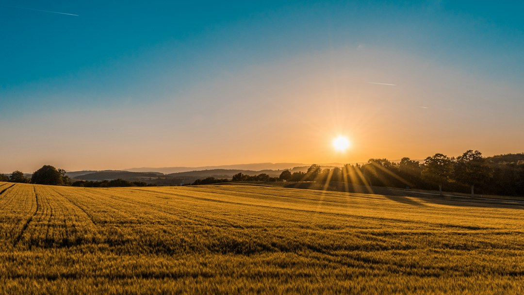 Mobile Field Service Management Software: 12 Features Field Teams Need