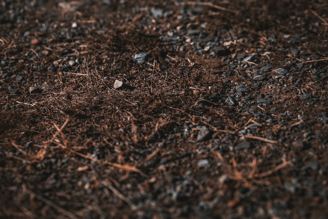 Mulch Coverage Calculator: Cubic Yards, Bags, and Top-Up Examples