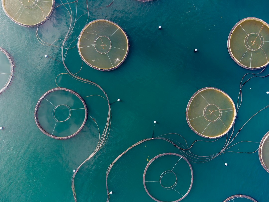 Aquaculture Software: 9 Checks for Stock, Feed, Transfers, and Harvest Records