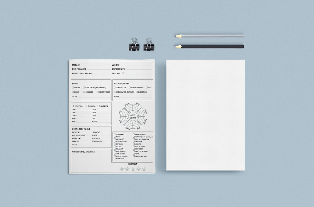 Plumbing invoice template: Blank Fields and a Filled Repair Example