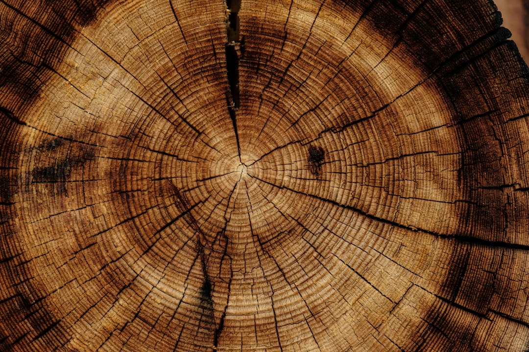 Log Management Software: 9 Checks for Searchable, Safe Event Records