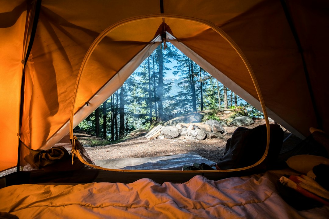 Camp Management Software: 9 Workflows from Enrollment to Pickup